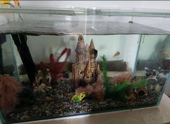 Продам аквариум