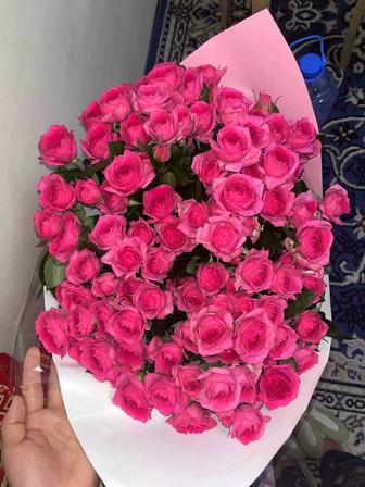 Продам цветы