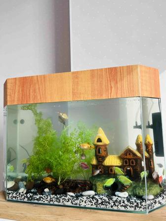 Продам аквариум с рыбками