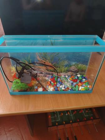 Продам аквариум