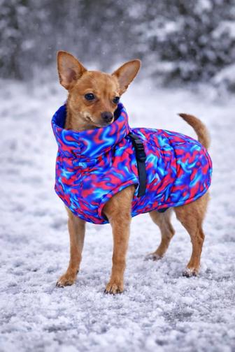 Зимняя попона для собак