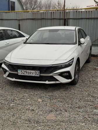 Аренда Elantra