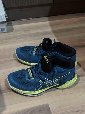 Кроссовки ASICS sky elite mt ff 2