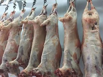 Баранина свежая.