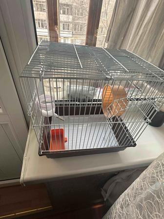 Клетка для хомяка
