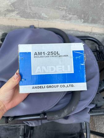Автоматический выключатель ANDELI AM1-250L 3Р 250А
