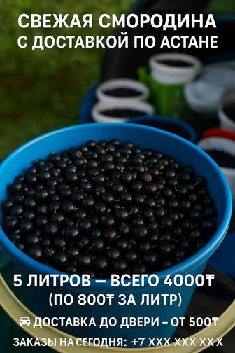 Свежая смородина с доставкой по Астане