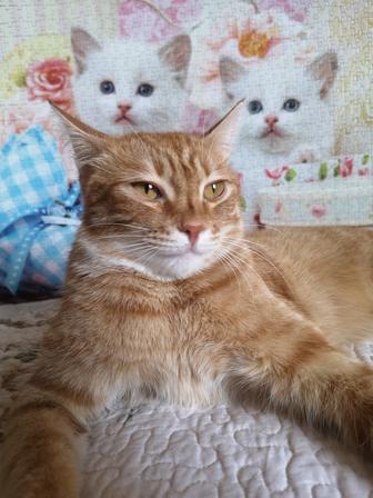 Ищу котородителей для Левы