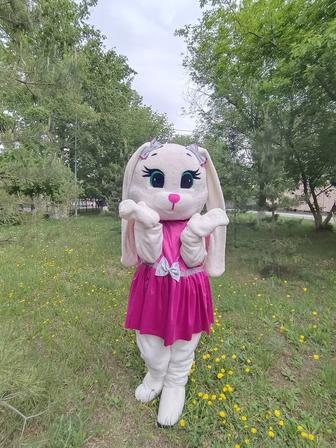 Зайка Тедди