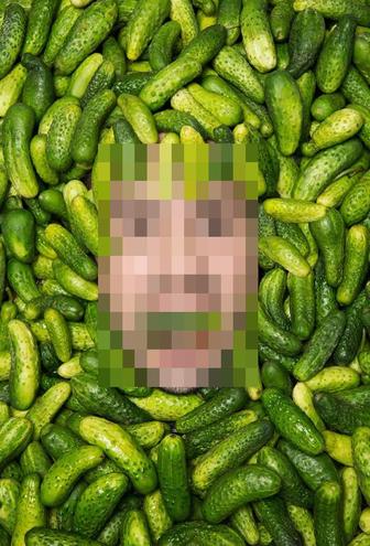 Продам домашние огурцы. Для засолки.