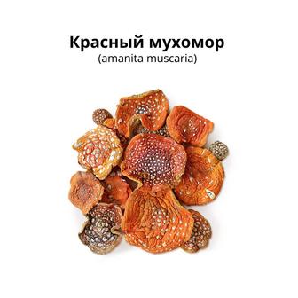 Красный мухомор