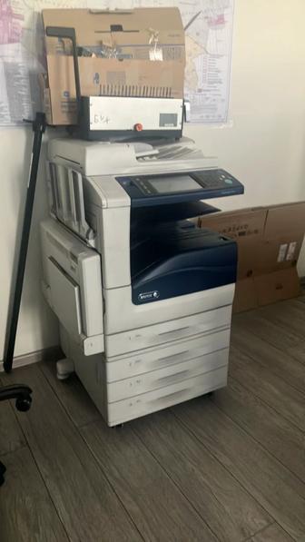 Мфу xerox