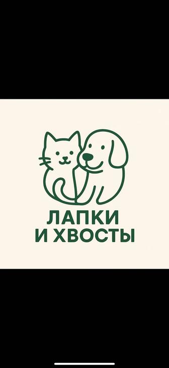 ПЕРЕДЕРЖКА КОШЕК И СОБАК Атырау