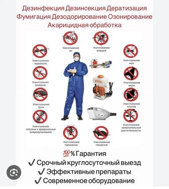 Дезинфекция