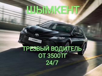 Трезвый водитель