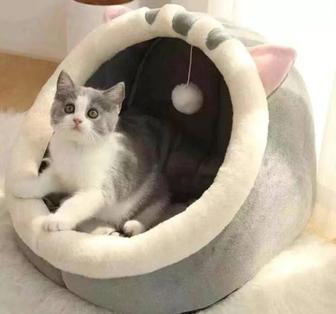 Лоток для кошки