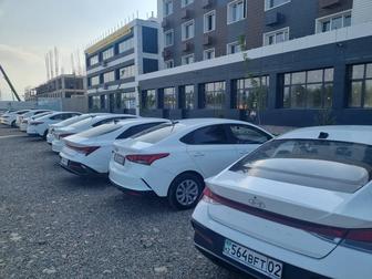 Аренда авто