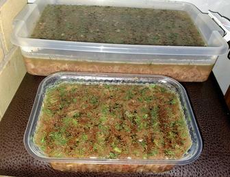 Холодец домашний, без желатина