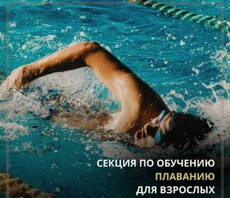 Обучение плаванию для взрослых