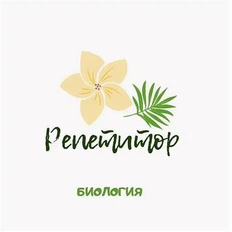 Репетитор