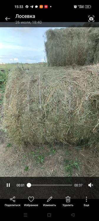 Продам сено с доставкой