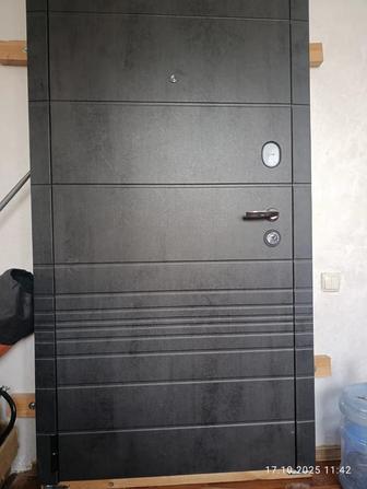 Входная металлическая дверь