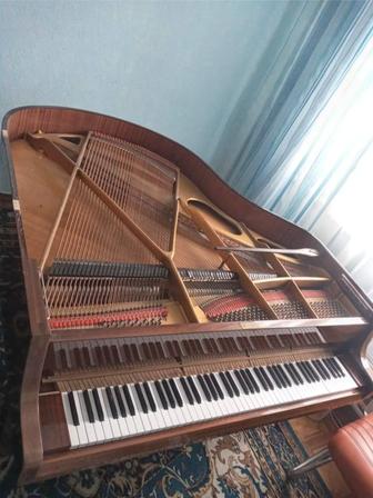 Перевозка пианино, фортепиано, роялий и другие музыкальные инструменты