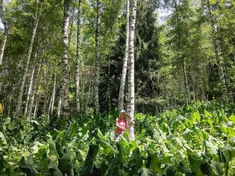 Ищу работу сиделки без проживания, можно с частичной занятостью.