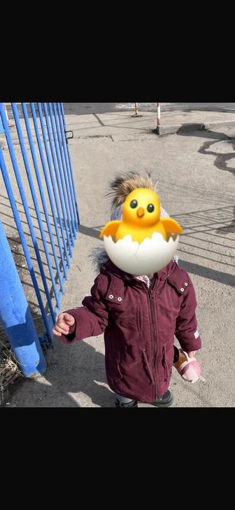 Отдам за фрукты парку детскую вишневую