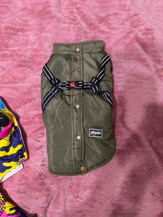 Жилетка на собаку