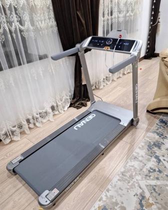 Беговая дорожка Genau Itech R5