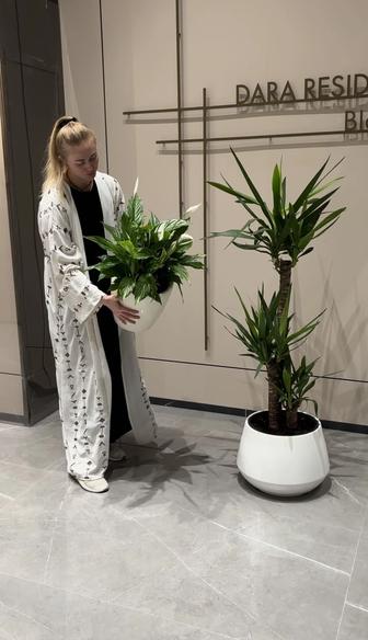 Услуги флориста