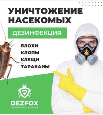 Дезинфекция от клопов и тараканов в Алмате с гарантией