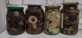 Грибы соленые маринованные