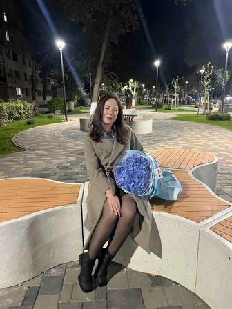 Репетитор по математике