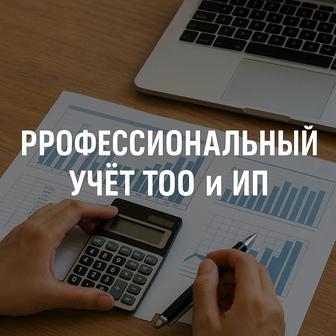 Профессиональный учет ТОО и ИП