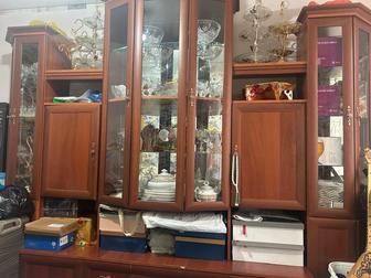 Горька в хорошом состояние