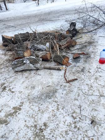 Продам чурки(дрова)