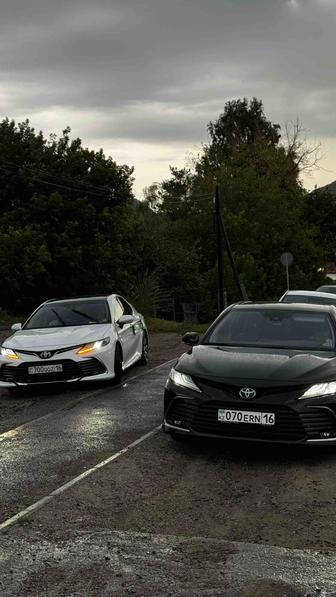 Трансфер. Бизнес поездки. Катания на свадьбу. Выписка с роддома. Поездки