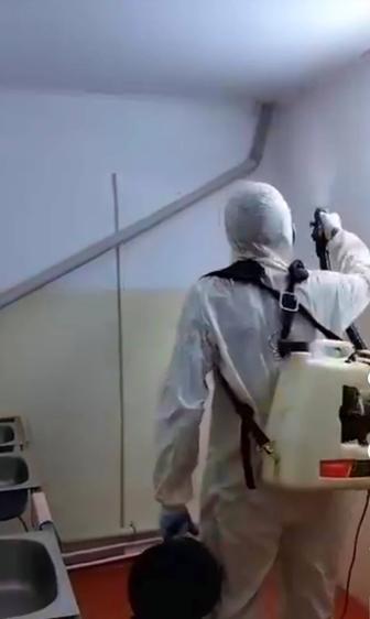 Уничтожение тараканов и клопов