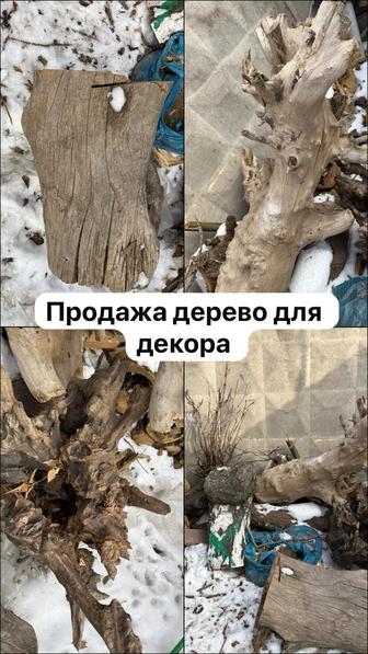 Дерево для декора