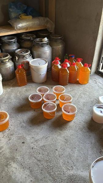 Мед натуральный. Оптом и в розницу.