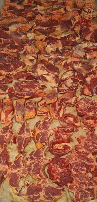 Мясо говядина из Кокшетау