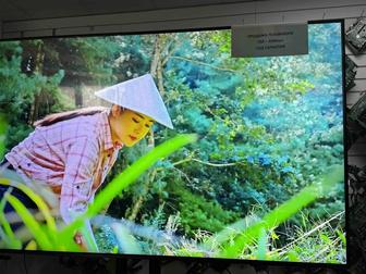 Продажа телевизора 55 диагональ отличного качества