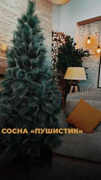 Новогодние елки пушистик сосна со снегом