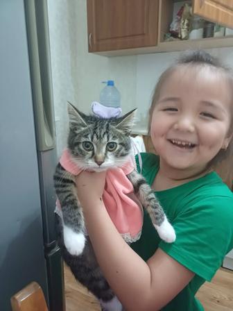 Отдам милую кошечку, в добрые руки