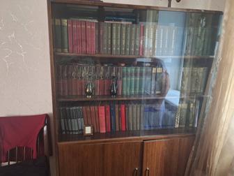 Домашняя библиотека классика и детективы