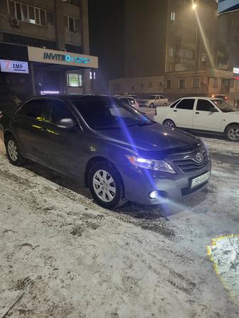 Перевозка пассажиров