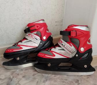 Коньки, Спорт