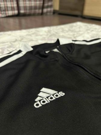 Олимпийка adidas